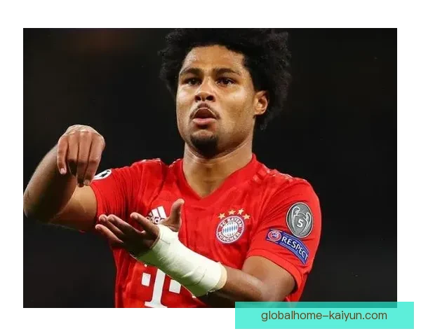 格纳布里技术特点逐渐显现，状态回暖备受关注。