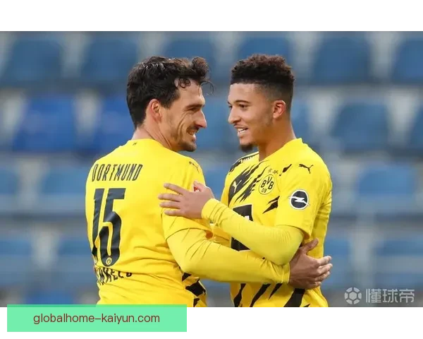 麦肯尼近期进球数据分析，表现稳健引发关注